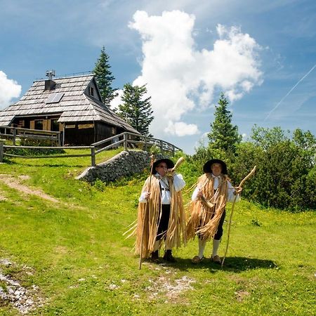 Chalet Tisa Velika Planina Stahovica Εξωτερικό φωτογραφία