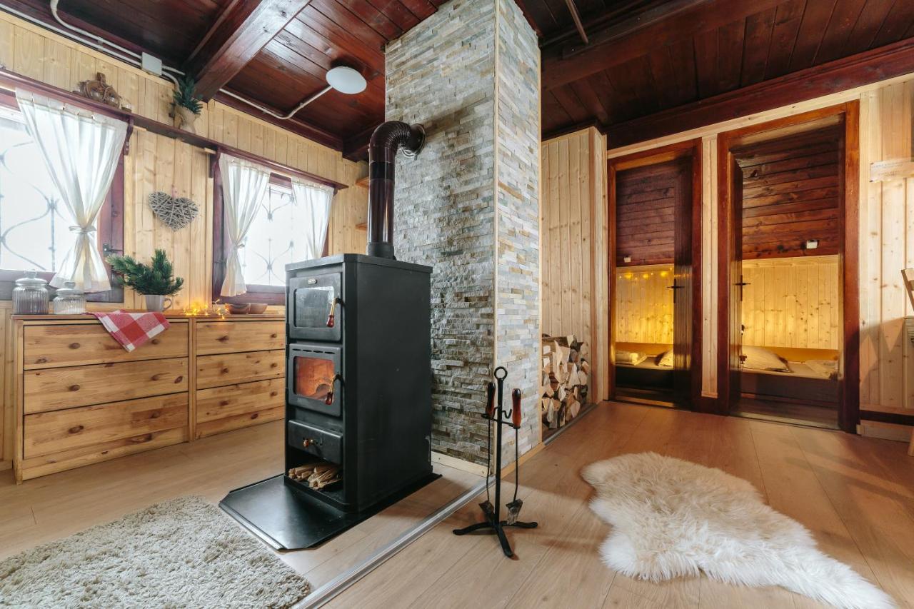 Chalet Tisa Velika Planina Stahovica Εξωτερικό φωτογραφία