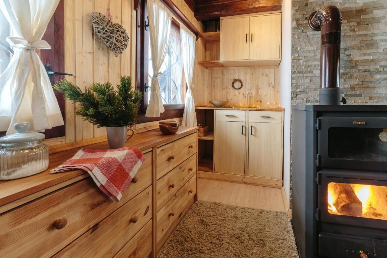 Chalet Tisa Velika Planina Stahovica Εξωτερικό φωτογραφία