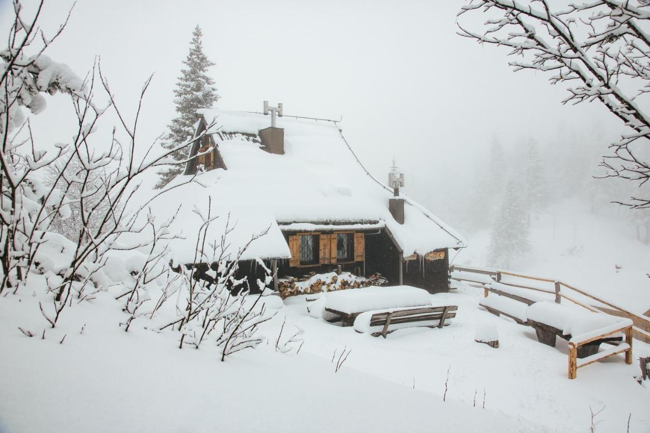 Chalet Tisa Velika Planina Stahovica Εξωτερικό φωτογραφία
