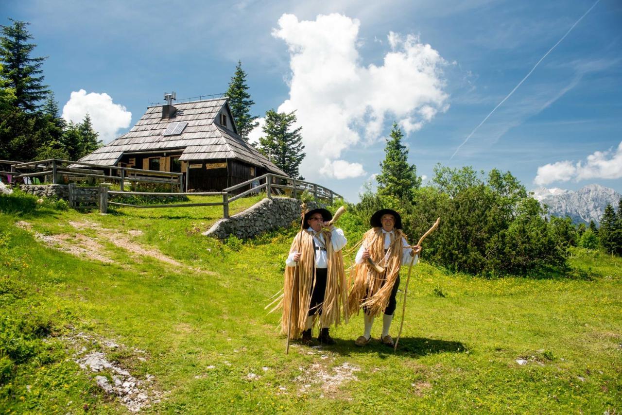 Chalet Tisa Velika Planina Stahovica Εξωτερικό φωτογραφία