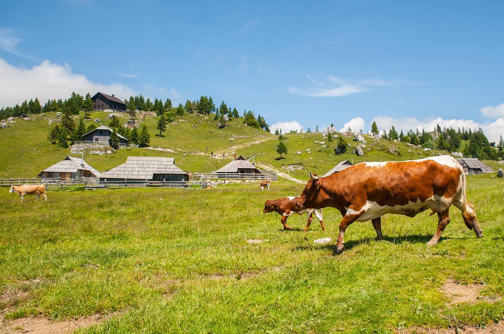 Chalet Tisa Velika Planina Stahovica Δωμάτιο φωτογραφία
