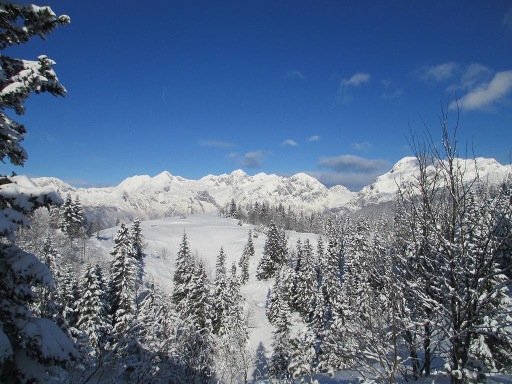 Chalet Tisa Velika Planina Stahovica Δωμάτιο φωτογραφία