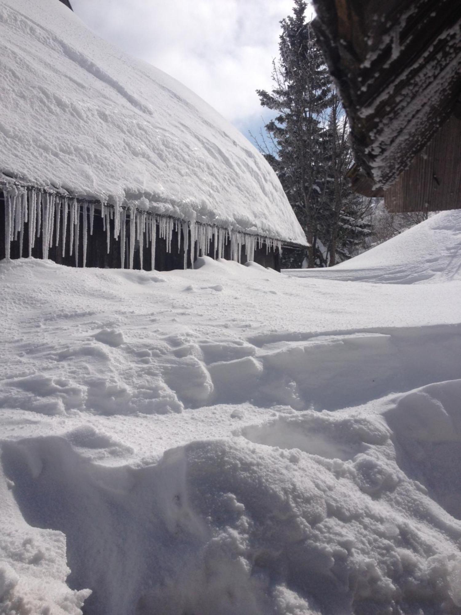 Chalet Tisa Velika Planina Stahovica Εξωτερικό φωτογραφία