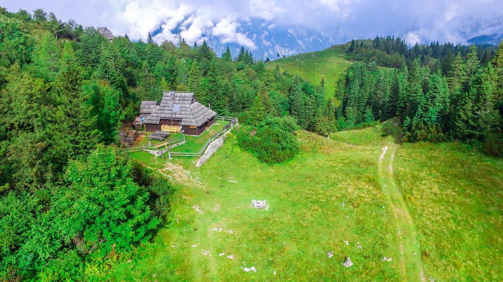 Chalet Tisa Velika Planina Stahovica Εξωτερικό φωτογραφία