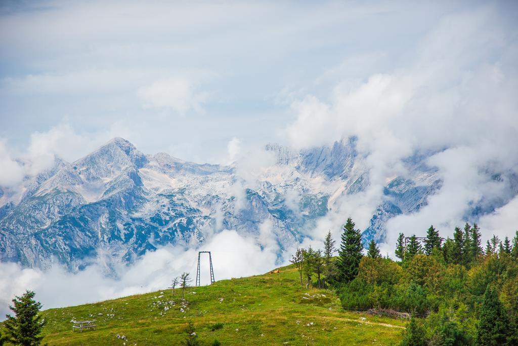 Chalet Tisa Velika Planina Stahovica Εξωτερικό φωτογραφία