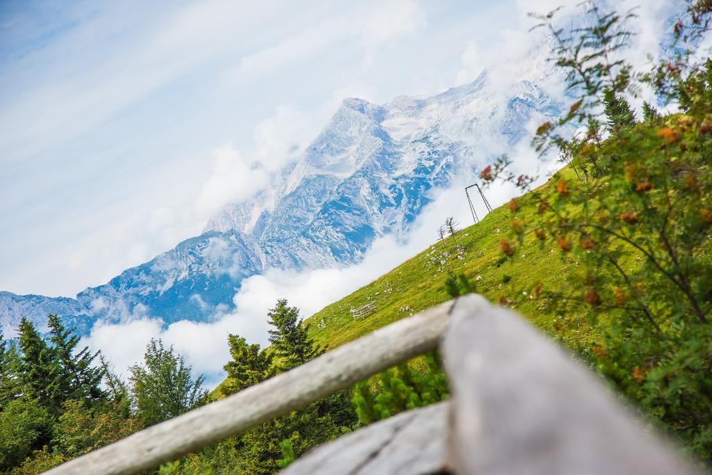 Chalet Tisa Velika Planina Stahovica Εξωτερικό φωτογραφία
