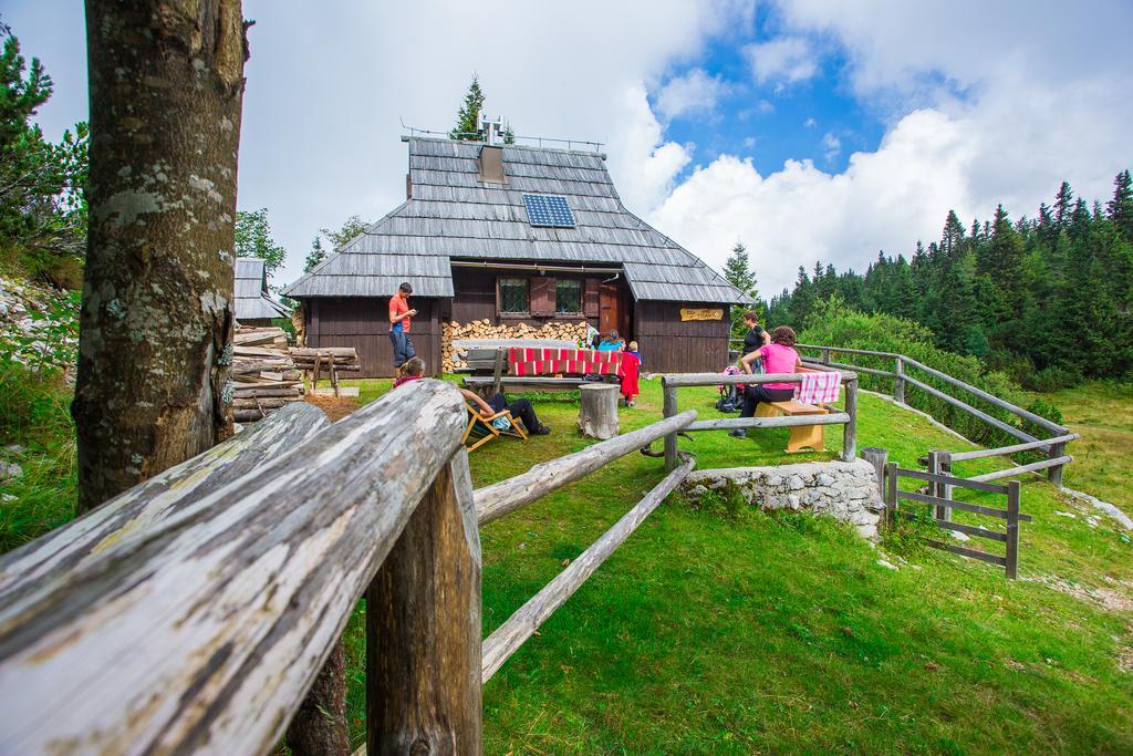 Chalet Tisa Velika Planina Stahovica Εξωτερικό φωτογραφία